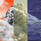 A New Landscape by XALTED, Wrenn, & MEK.txt