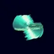 Articles- - old