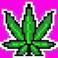 High Gifs