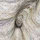 Spittal Sands