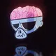 Monkey Brain