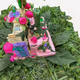 Sylvanian Families’ Castle Nature Invasion