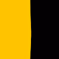 Black & Yellow !