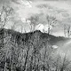 Fleeting Stillness by OEE
