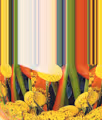Florescape