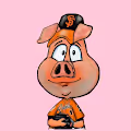 Pigs On Tour