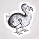 Digital Dodos