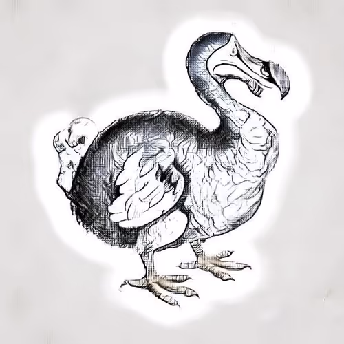 Digital Dodos