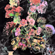 NEON FLOWERS (COLLAGE)