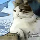 44 famous cats in plane turbulence