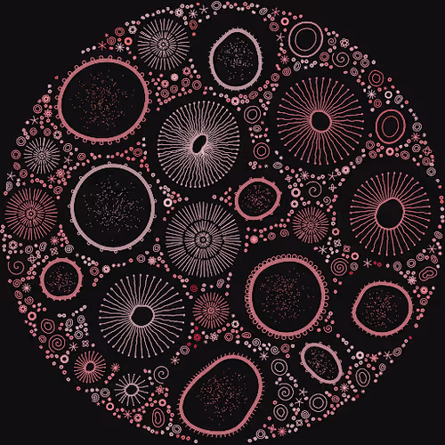 Petri Dish by James Dalessandro