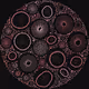 Petri Dish by James Dalessandro