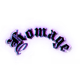 The Homage Collection