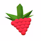 The Raspberry Mafia - old