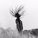 Not In Colour Moments