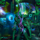 Dr_Bozog Collection