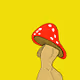 Bangin' Shrooms Official