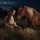 Mysterious Nights