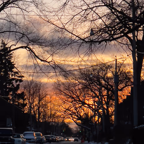 JonCaptures Collection