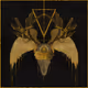 Esctacy Oracles