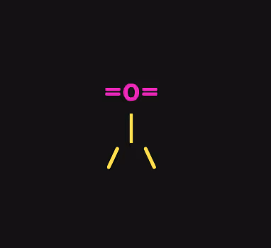 OnChainPunks - Fully Inscribed