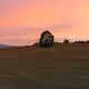 sunsets in the yarra valley - old