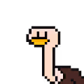 Big Birds
