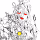 Coral guy
