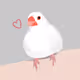 Sparrow_kkmyy