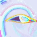?s
