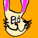 BAQU Rabbits