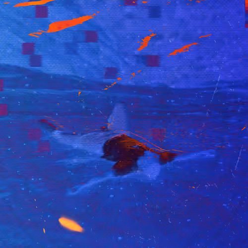 Mixed Media Artworks by Connor Grasso