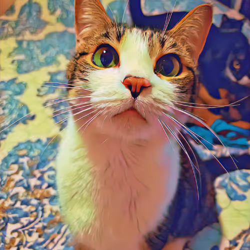 Proud Of Your Cat
