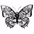 12 Butterflies - old - old