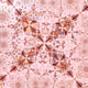 Fractal Fantastic: Single Special Editions