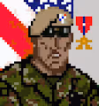 Cyber Grunts