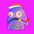 Rogue Jellies Candy Club
