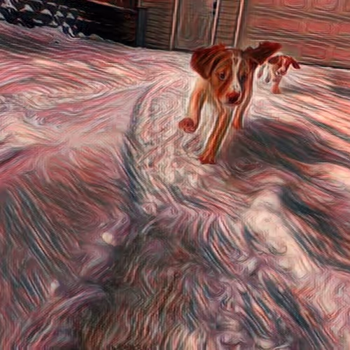 Adventures of The Bird Dog