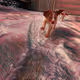 Adventures of The Bird Dog