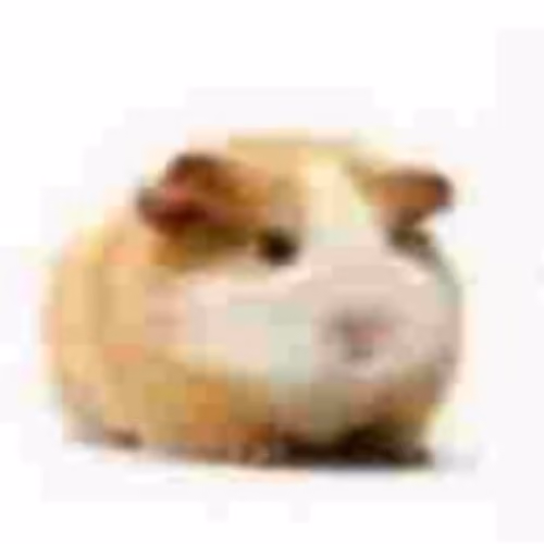 Hamster.png(4K ULTRA HD)