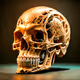 AMAZING SKULLS