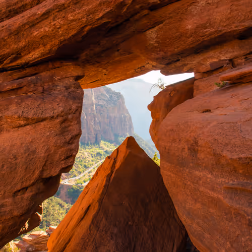 The Zion 5