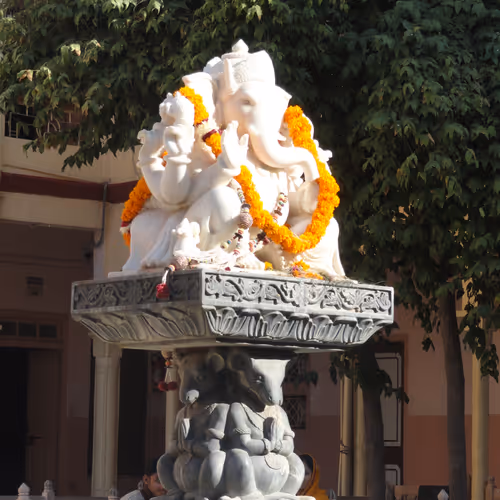 Vyavhar Agarwal's Collection