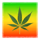 Real Ganja Club