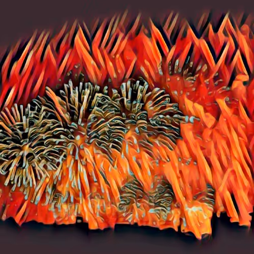 french ART : & unique NFT creations!