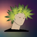 Leaf Head Collection