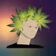 Leaf Head Collection