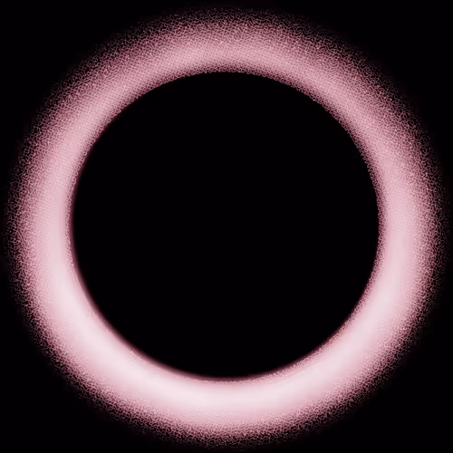 Short films by Anthony Sylvester