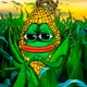 Bitcorn Crops