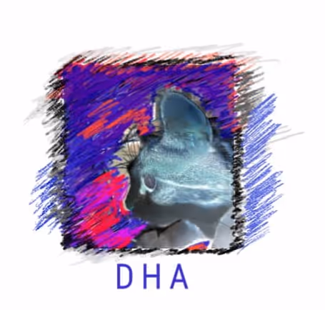 Digital Hana Arts Collection I